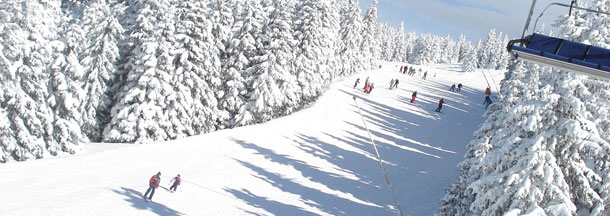 kopaonik