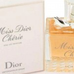 christian dior pravi vitez