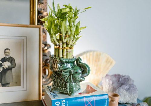 Feng šui saveti za sreću i harmoniju u domu