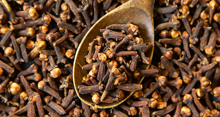 Karanfilić: Začin protiv bolova i infekcija
